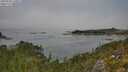 ./images/calvert/foggy-cove/20250903/foggy-cove20250903_130011M.jpg