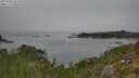 ./images/calvert/foggy-cove/20250903/foggy-cove20250903_132011M.jpg