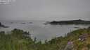 ./images/calvert/foggy-cove/20250903/foggy-cove20250903_133011M.jpg