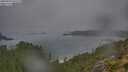 ./images/calvert/foggy-cove/20250904/foggy-cove20250904_075509M.jpg