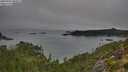 ./images/calvert/foggy-cove/20250904/foggy-cove20250904_085011M.jpg