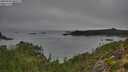 ./images/calvert/foggy-cove/20250904/foggy-cove20250904_085509M.jpg