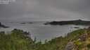 ./images/calvert/foggy-cove/20250904/foggy-cove20250904_090012M.jpg