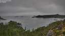 ./images/calvert/foggy-cove/20250904/foggy-cove20250904_093011M.jpg