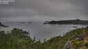 ./images/calvert/foggy-cove/20250904/foggy-cove20250904_093510M.jpg