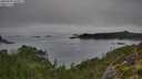 ./images/calvert/foggy-cove/20250904/foggy-cove20250904_094011M.jpg