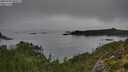 ./images/calvert/foggy-cove/20250904/foggy-cove20250904_095007M.jpg