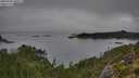 ./images/calvert/foggy-cove/20250904/foggy-cove20250904_100509M.jpg