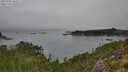 ./images/calvert/foggy-cove/20250904/foggy-cove20250904_102011M.jpg