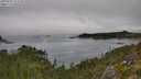 ./images/calvert/foggy-cove/20250904/foggy-cove20250904_122510M.jpg