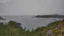 ./images/calvert/foggy-cove/20250904/foggy-cove20250904_150509M.jpg