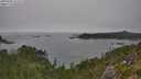 ./images/calvert/foggy-cove/20250904/foggy-cove20250904_153509M.jpg