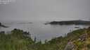 ./images/calvert/foggy-cove/20250905/foggy-cove20250905_112509M.jpg