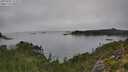 ./images/calvert/foggy-cove/20250905/foggy-cove20250905_115509M.jpg