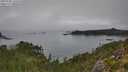./images/calvert/foggy-cove/20250905/foggy-cove20250905_120510M.jpg