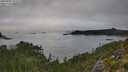 ./images/calvert/foggy-cove/20250905/foggy-cove20250905_122510M.jpg