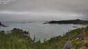./images/calvert/foggy-cove/20250905/foggy-cove20250905_123012M.jpg