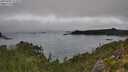 ./images/calvert/foggy-cove/20250905/foggy-cove20250905_123508M.jpg
