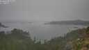 ./images/calvert/foggy-cove/20250905/foggy-cove20250905_142011M.jpg