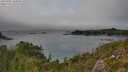 ./images/calvert/foggy-cove/20250905/foggy-cove20250905_160010M.jpg