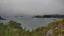 ./images/calvert/foggy-cove/20250905/foggy-cove20250905_161009M.jpg