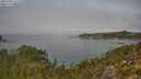 ./images/calvert/foggy-cove/20250906/foggy-cove20250906_122510M.jpg