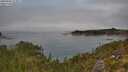 ./images/calvert/foggy-cove/20250906/foggy-cove20250906_123012M.jpg