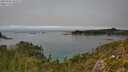 ./images/calvert/foggy-cove/20250906/foggy-cove20250906_142509M.jpg