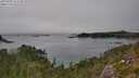 ./images/calvert/foggy-cove/20250906/foggy-cove20250906_152510M.jpg