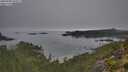 ./images/calvert/foggy-cove/20250908/foggy-cove20250908_075009M.jpg