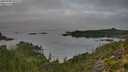 ./images/calvert/foggy-cove/20250908/foggy-cove20250908_092510M.jpg