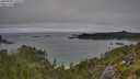 ./images/calvert/foggy-cove/20250909/foggy-cove20250909_110508M.jpg