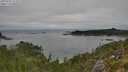 ./images/calvert/foggy-cove/20250909/foggy-cove20250909_113509M.jpg