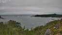 ./images/calvert/foggy-cove/20250909/foggy-cove20250909_123011M.jpg