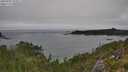 ./images/calvert/foggy-cove/20250909/foggy-cove20250909_132011M.jpg