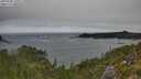 ./images/calvert/foggy-cove/20250909/foggy-cove20250909_135010M.jpg