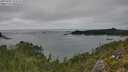 ./images/calvert/foggy-cove/20250909/foggy-cove20250909_154510M.jpg