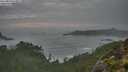 ./images/calvert/foggy-cove/20250923/foggy-cove20250923_074001M.jpg