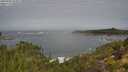 ./images/calvert/foggy-cove/20250923/foggy-cove20250923_104002M.jpg