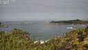 ./images/calvert/foggy-cove/20250923/foggy-cove20250923_105001M.jpg