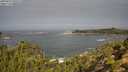 ./images/calvert/foggy-cove/20250923/foggy-cove20250923_105502M.jpg