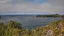 ./images/calvert/foggy-cove/20250924/foggy-cove20250924_141001M.jpg