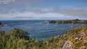 ./images/calvert/foggy-cove/20250924/foggy-cove20250924_143002M.jpg