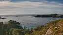 ./images/calvert/foggy-cove/20250924/foggy-cove20250924_172001M.jpg