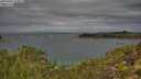./images/calvert/foggy-cove/20251002/foggy-cove20251002_113001M.jpg