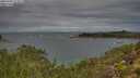 ./images/calvert/foggy-cove/20251002/foggy-cove20251002_113501M.jpg