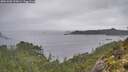./images/calvert/foggy-cove/20251003/foggy-cove20251003_110001M.jpg