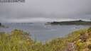 ./images/calvert/foggy-cove/20251004/foggy-cove20251004_100501M.jpg
