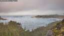 ./images/calvert/foggy-cove/20251005/foggy-cove20251005_083501M.jpg