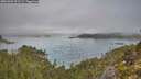 ./images/calvert/foggy-cove/20251005/foggy-cove20251005_091501M.jpg